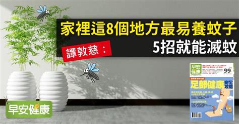 家裡蚊蟲多|譚敦慈：家裡這8個地方最易養蚊子，5招就能滅蚊